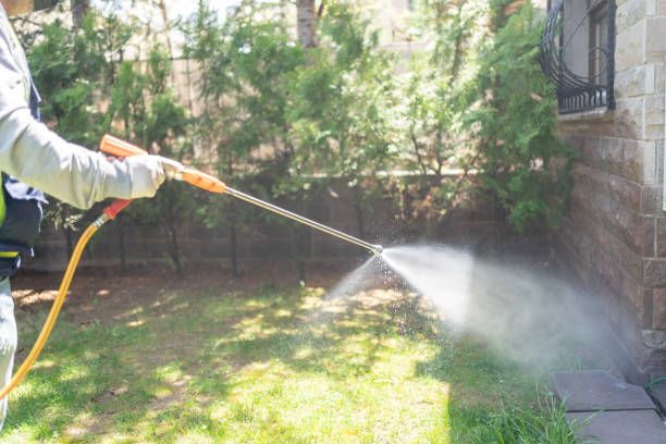 Best Seasonal Pest Control  in Matheny, CA